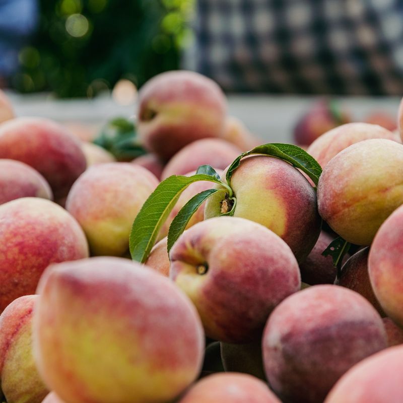 Peaches