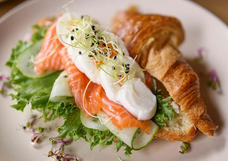Salmon