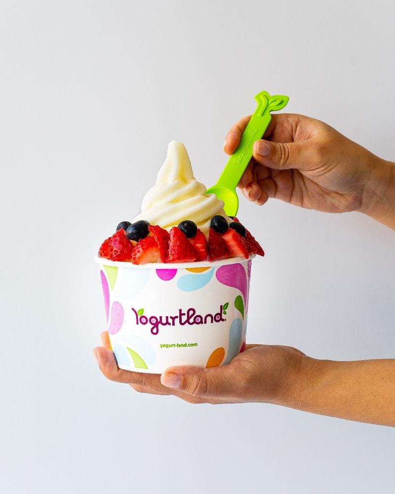 Frozen Yogurt