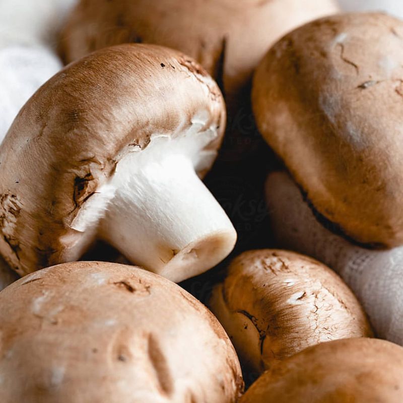 Mushrooms