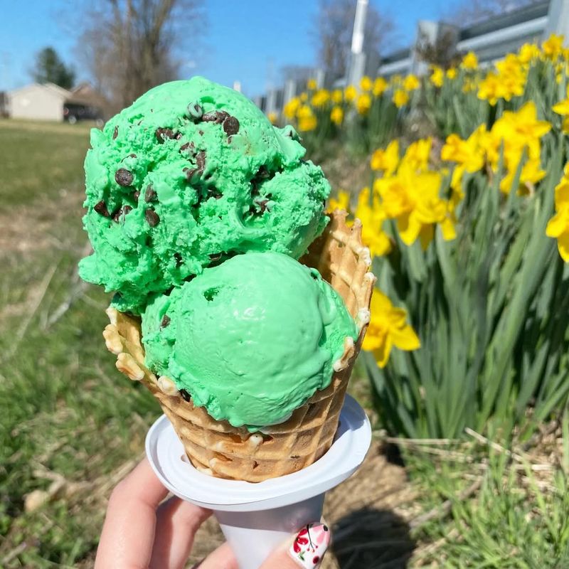 Mint Chocolate Chip