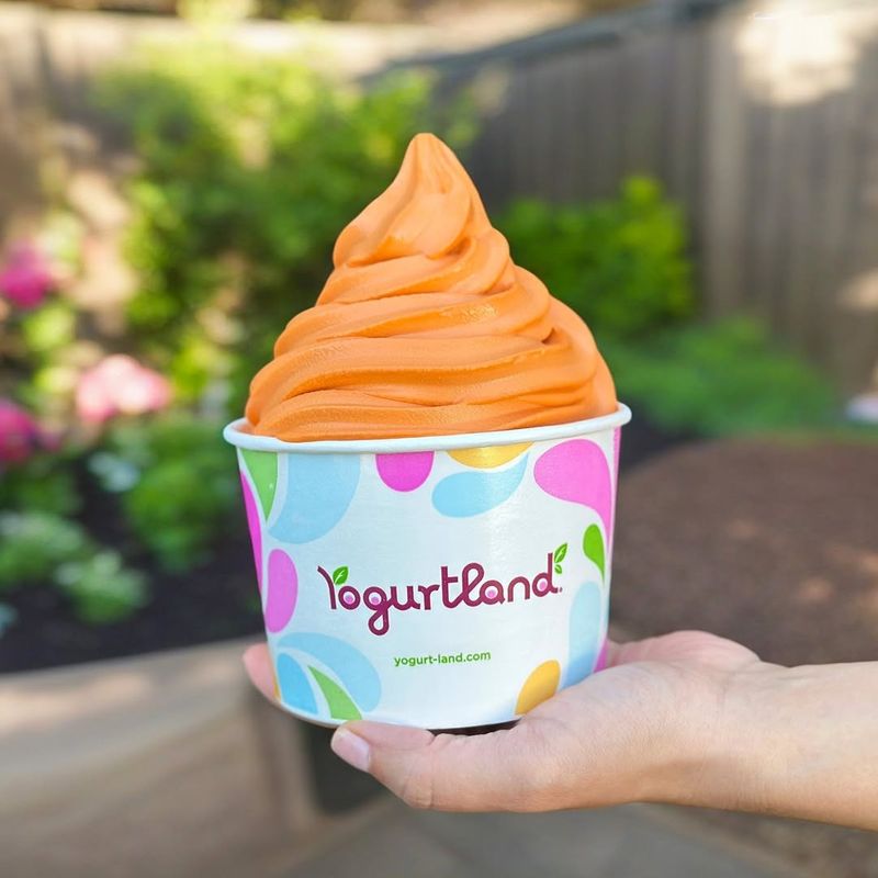 Frozen Yogurt