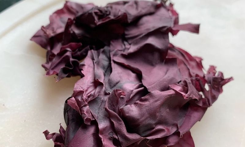 Dulse Seaweed
