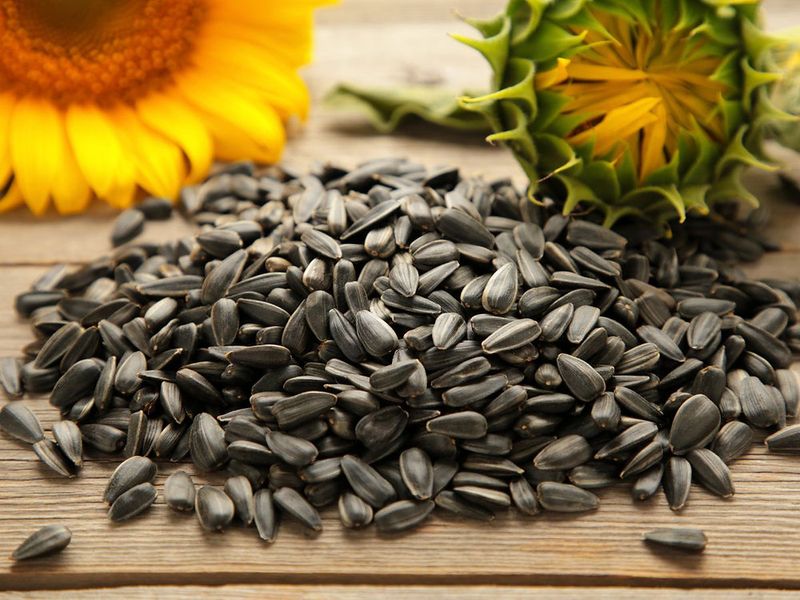 EMBRACE: Sunflower Seeds