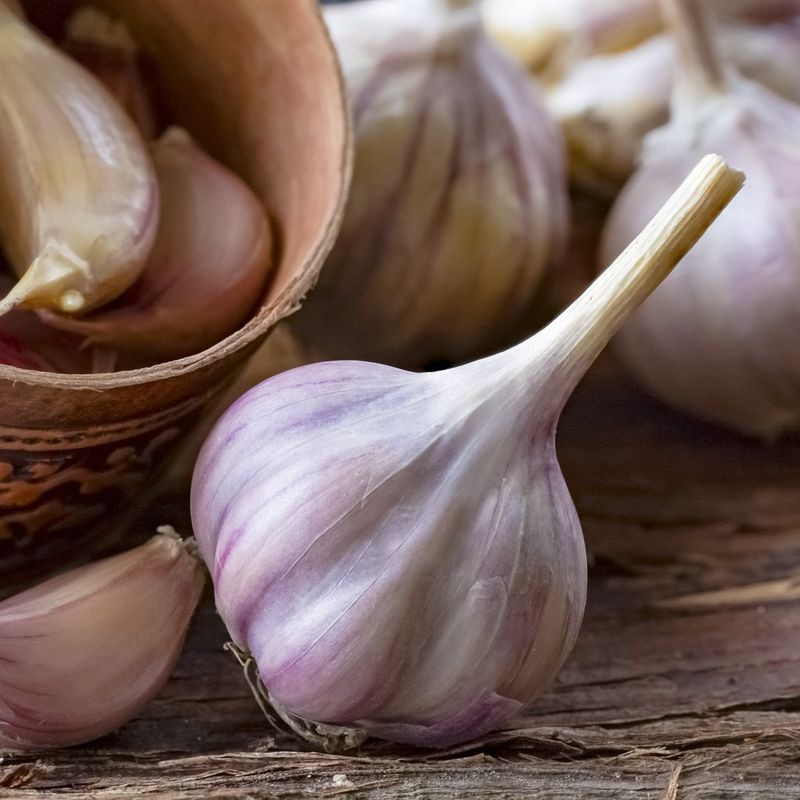 Fresh and Frozen Garlic