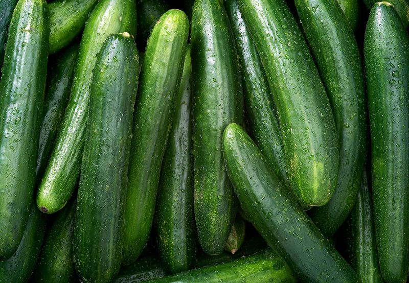 Choosing The Wrong Cucumbers In The Store