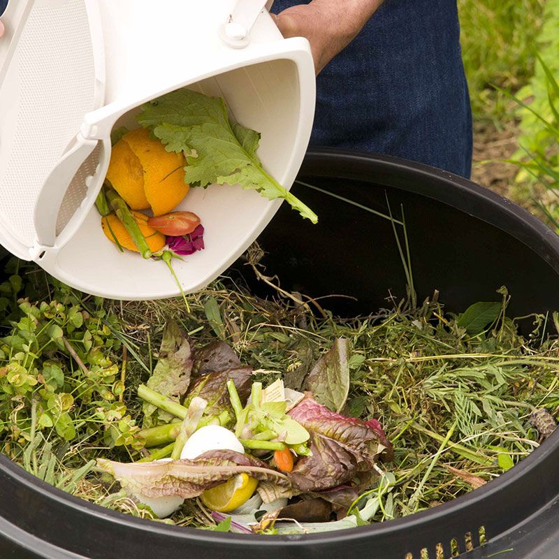 Compost What You Can