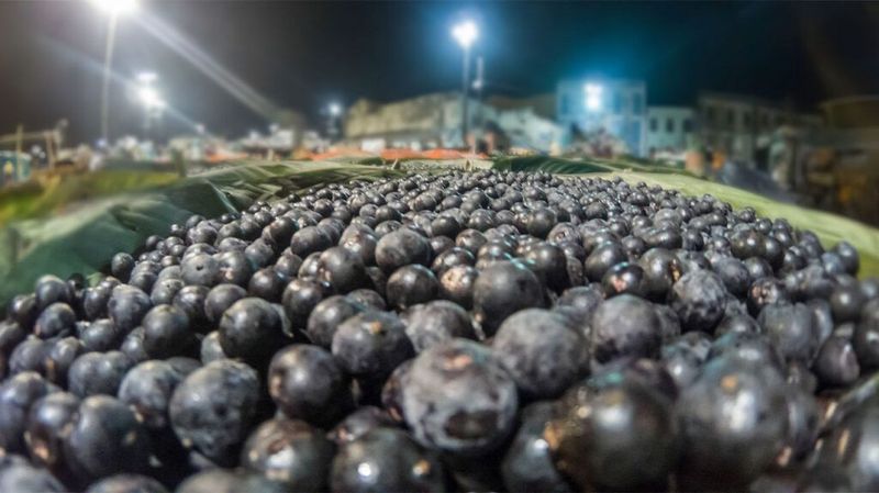 Acai Berries