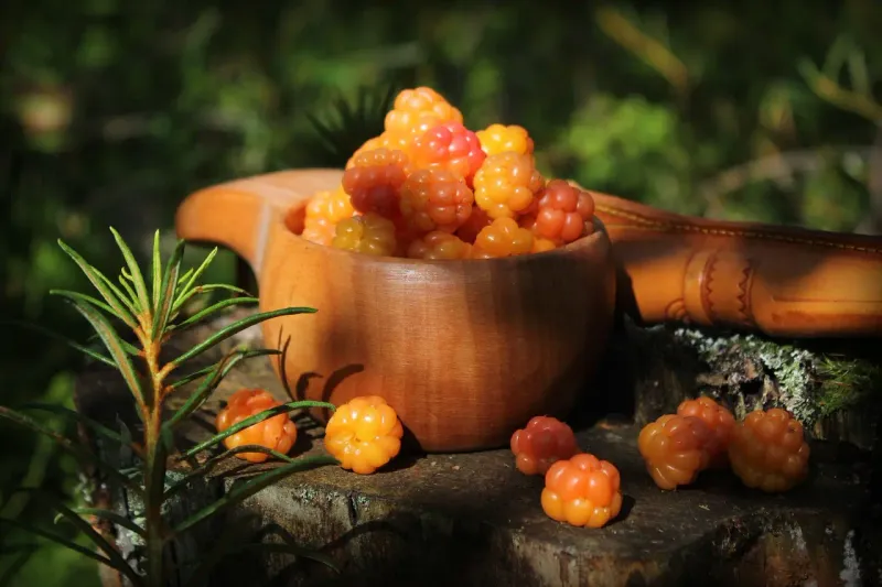Cloudberries