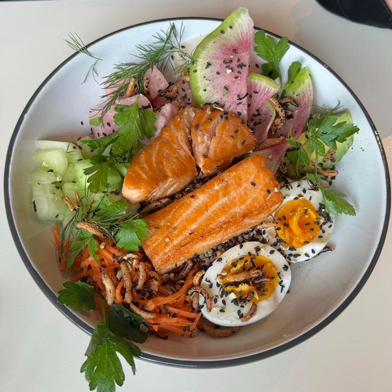 Salmon