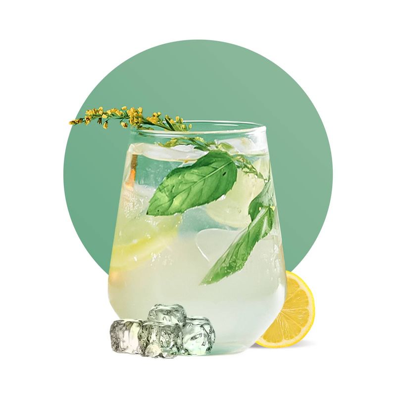 Elderflower Lemonades and Mocktails