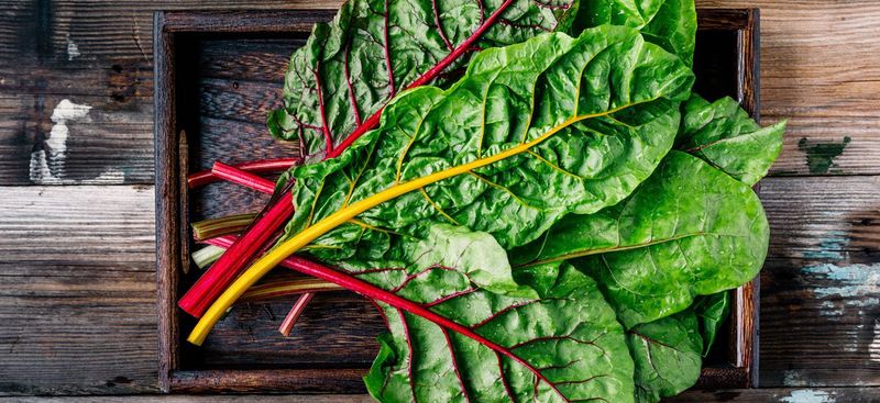 Swiss Chard