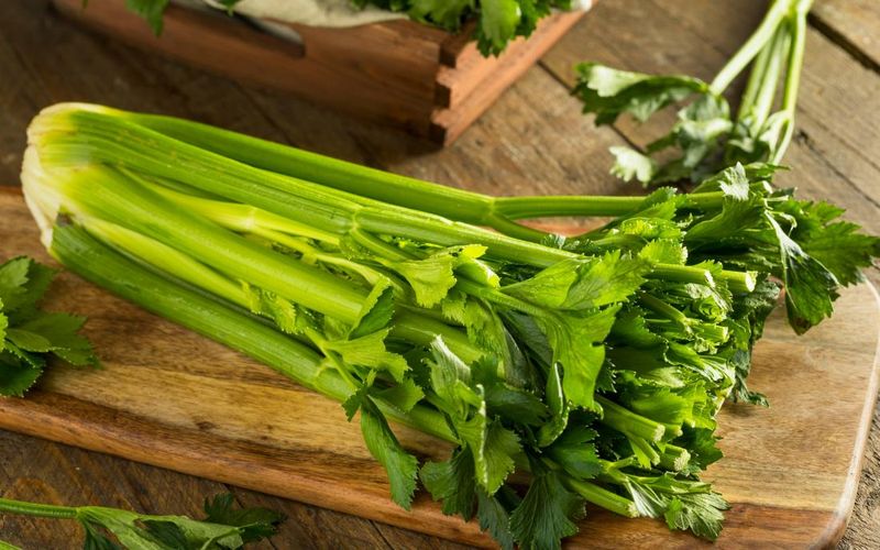 LESS: Celery