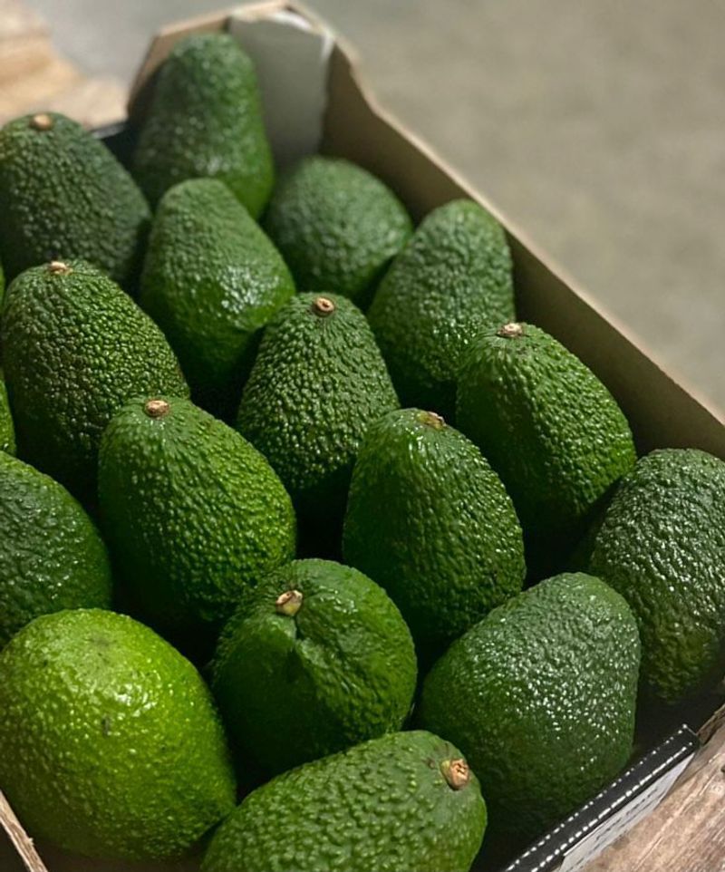 Avocados