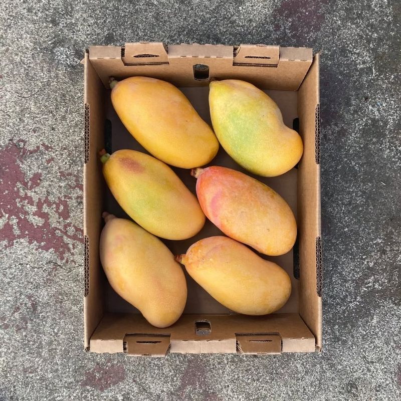 Mangoes