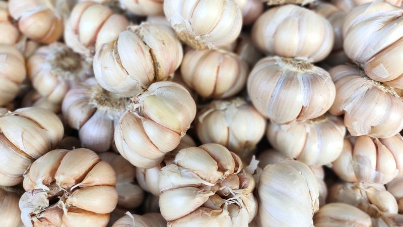 MORE: Garlic