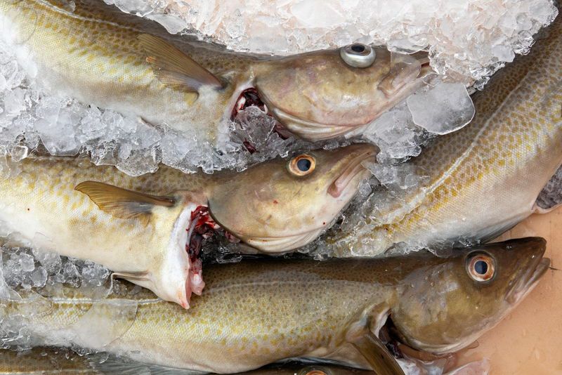 The Alaskan pollock in Filet-O-Fish is surprisingly fresh