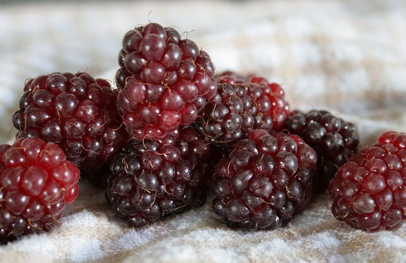Boysenberries
