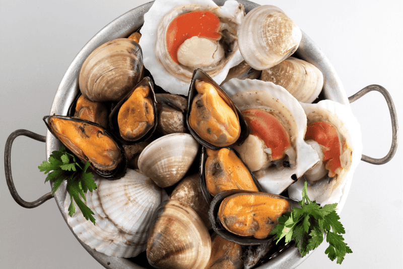 Shellfish (Oysters, Clams)
