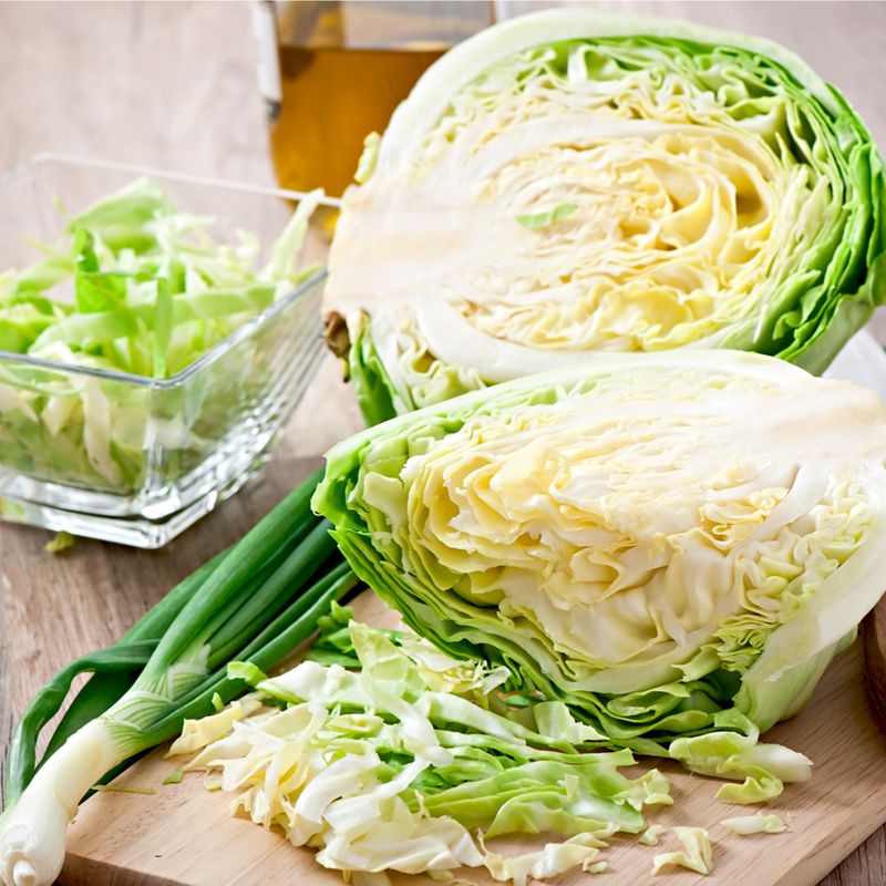 Cabbage