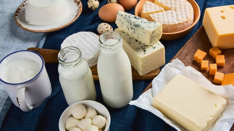 Dairy