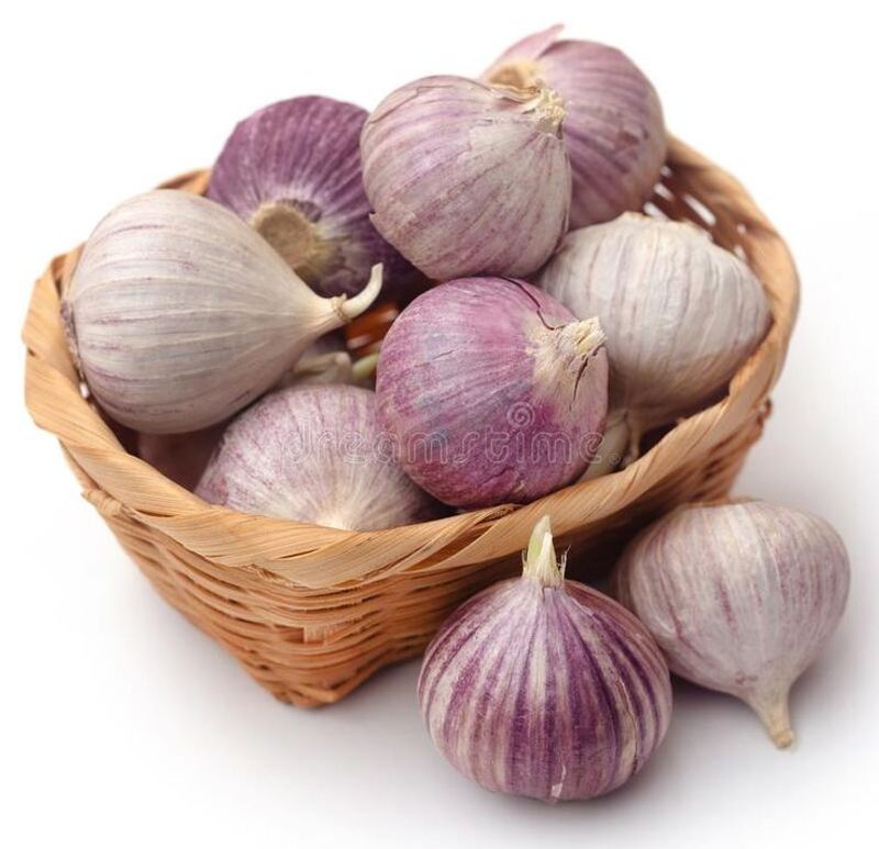 Garlic