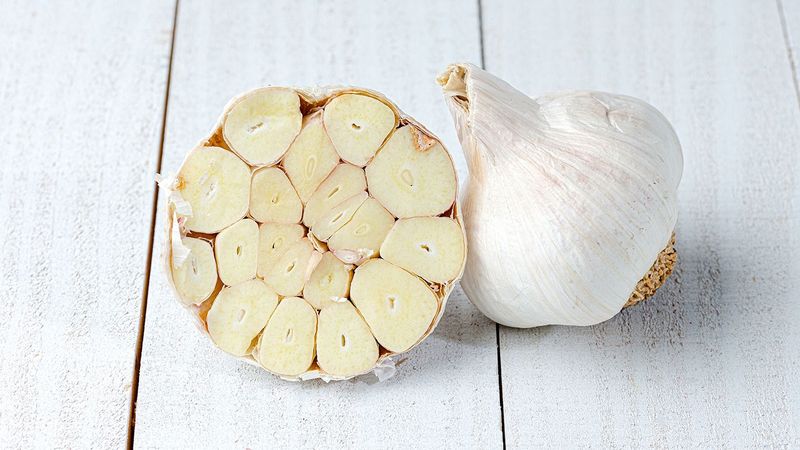 Garlic