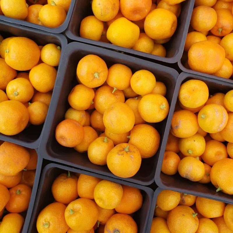 Tangerines