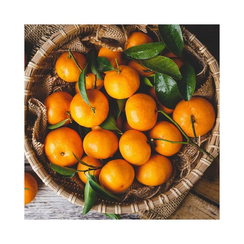 Oranges (especially juice)