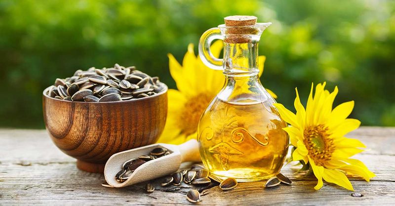Sunflower Oil