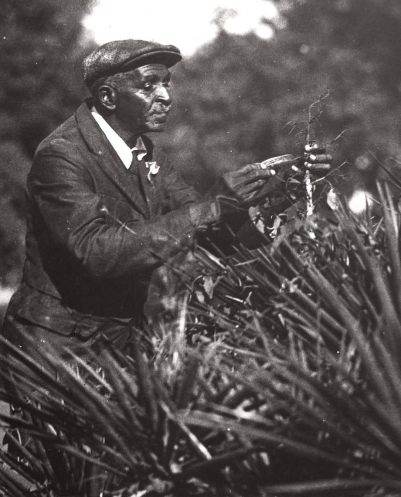 George Washington Carver - The Plant Wizard Who Transformed American Agriculture