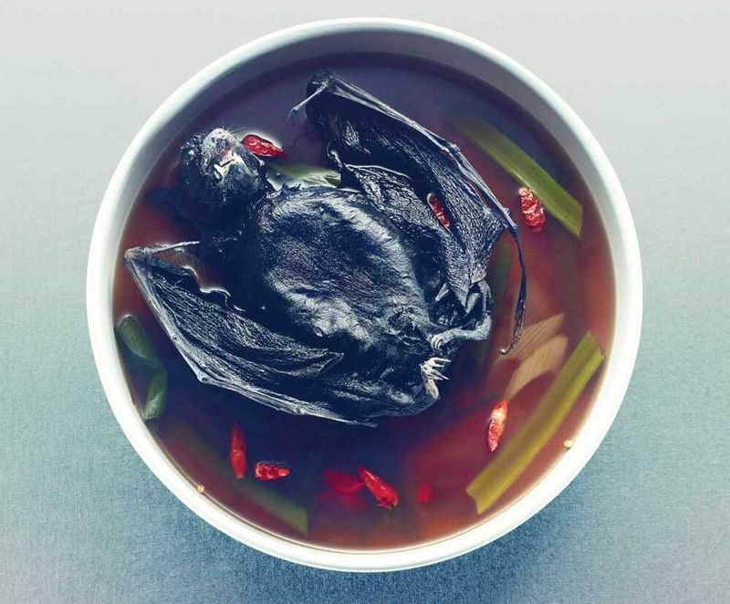 Fruit Bat Soup