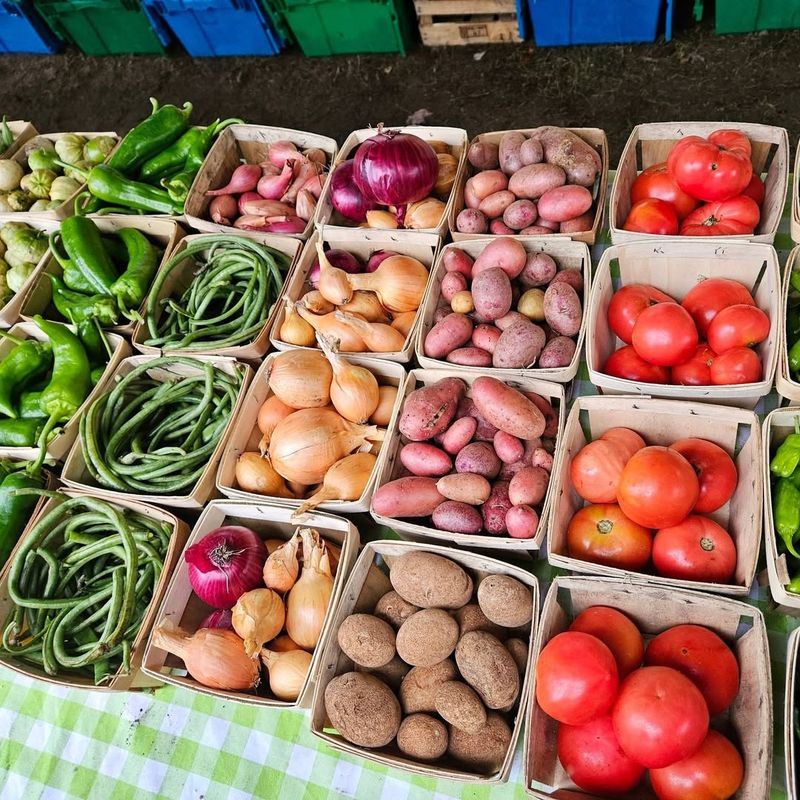 Fruits and Vegetables