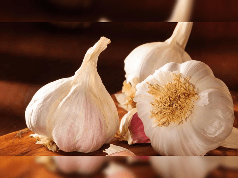 Garlic