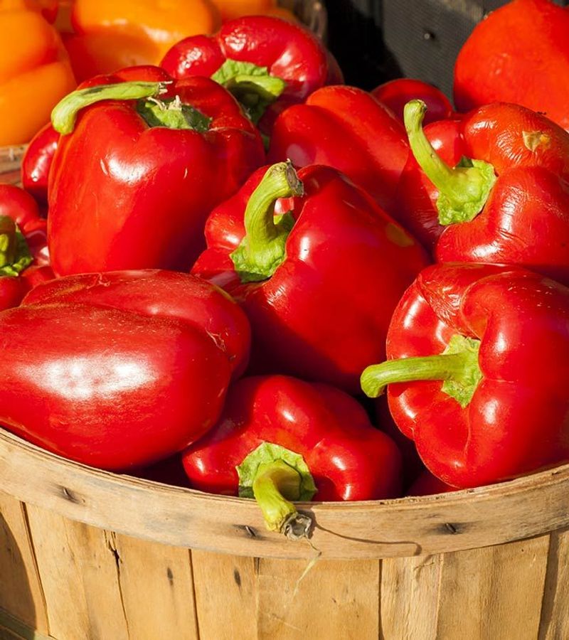 Red Bell Peppers