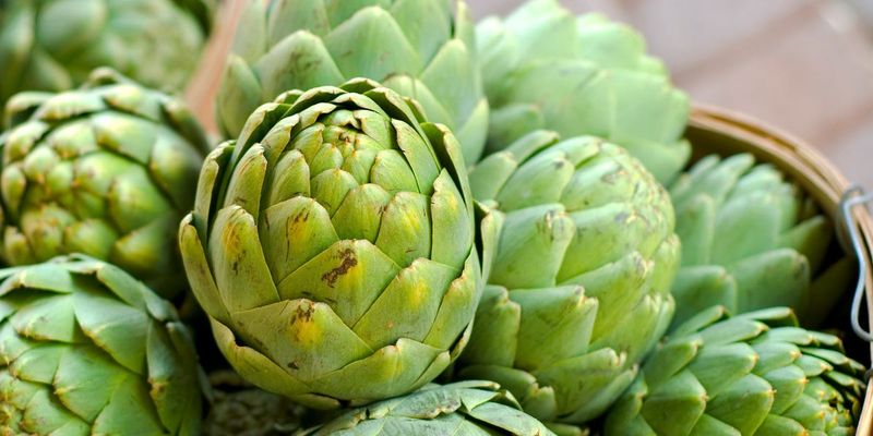 Artichokes