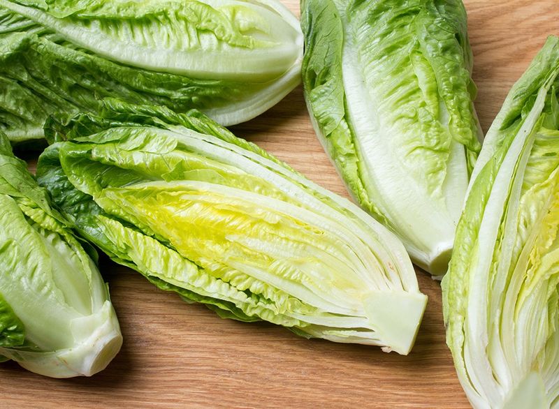 Lettuce (Romaine or Iceberg)
