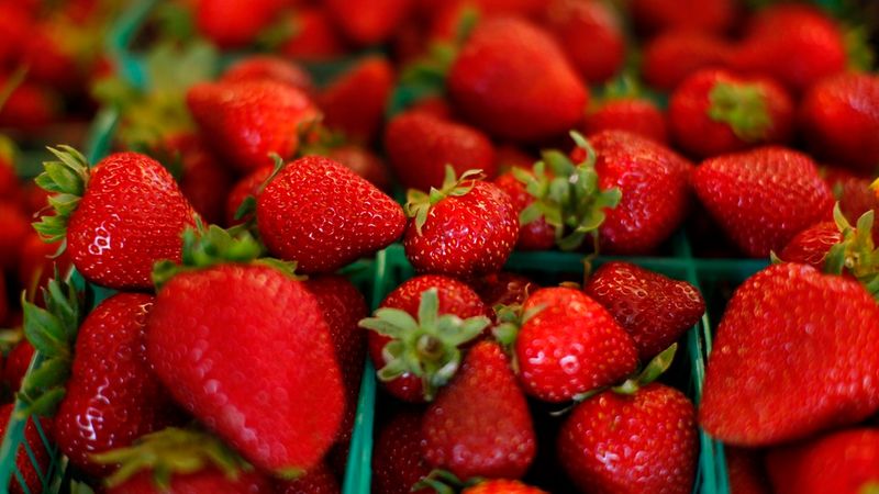 TOXIC: Strawberries