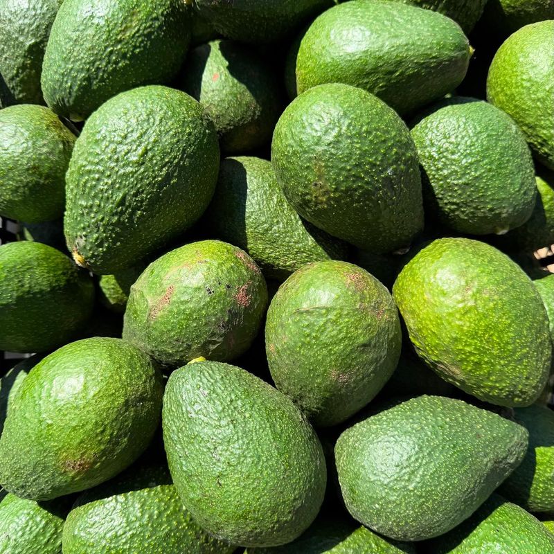 Avocados