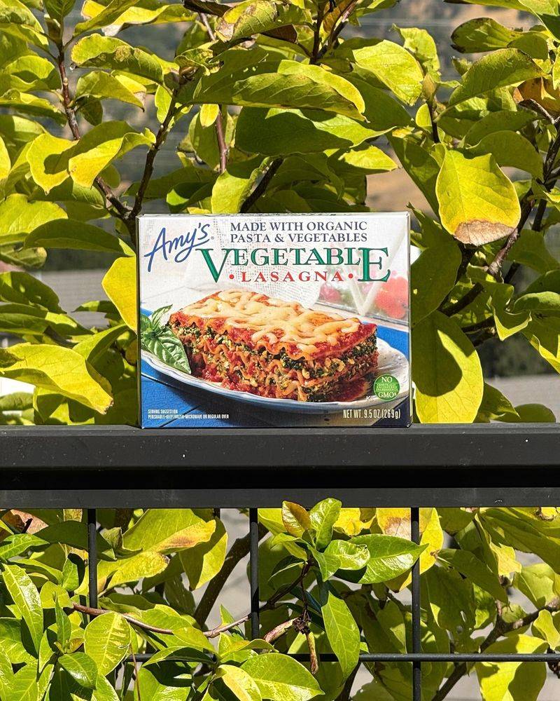 Amy's Kitchen Frozen Lasagna