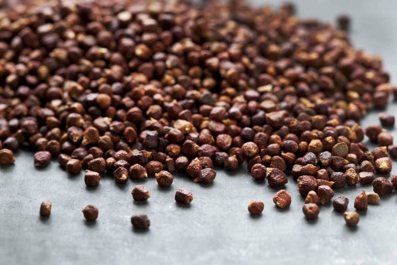 Grains of Paradise (West Africa)