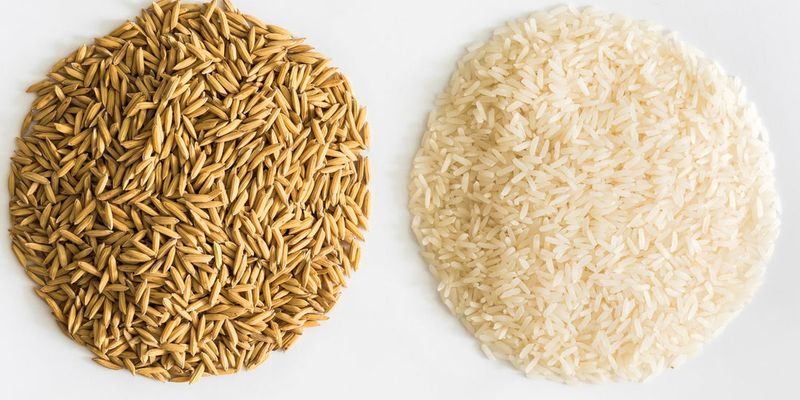 White Rice