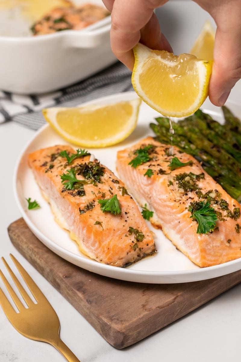 Salmon
