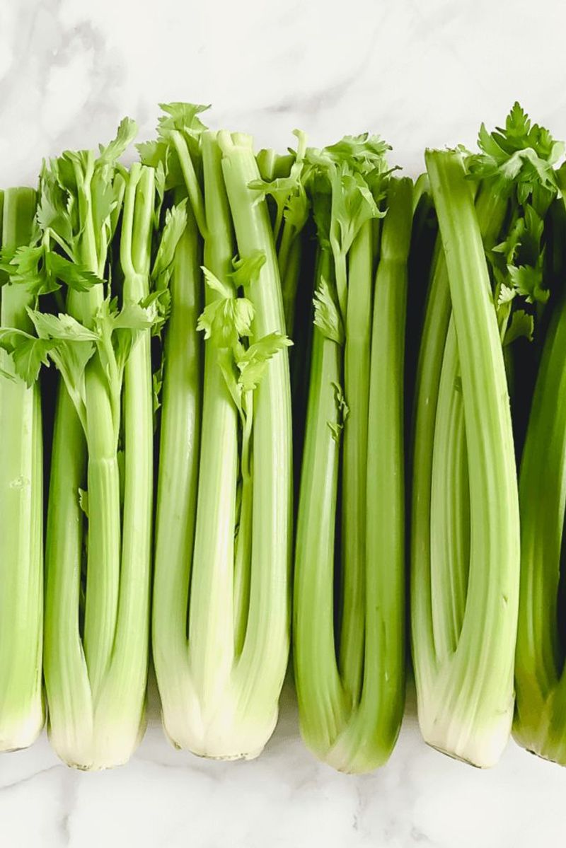 Celery Burns More Calories Than It Contains