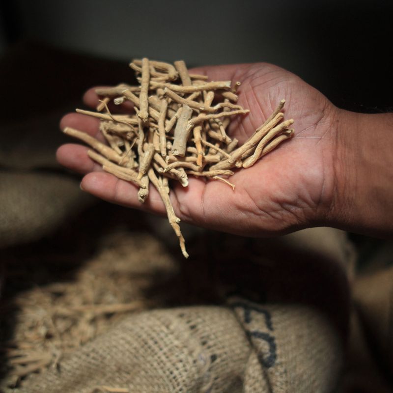 Ashwagandha