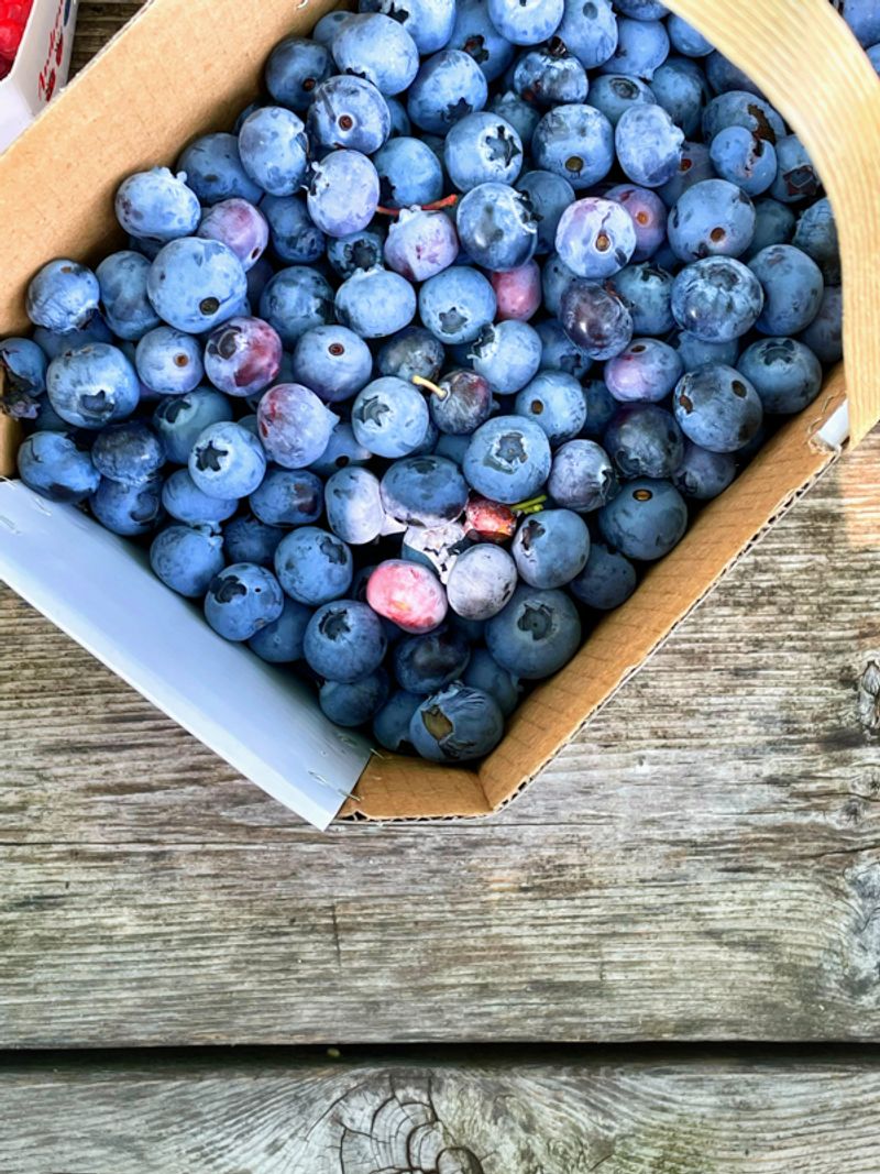 Blueberries
