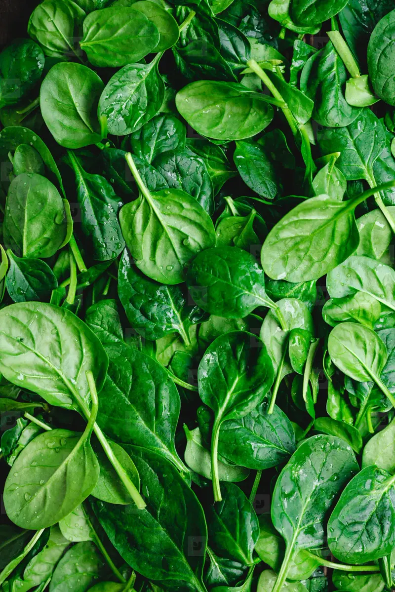 Spinach: The Iron-Rich Green Giant