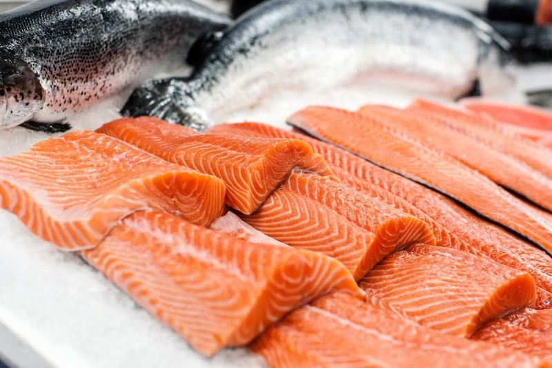 Swim in a Sea of Fatty Fish