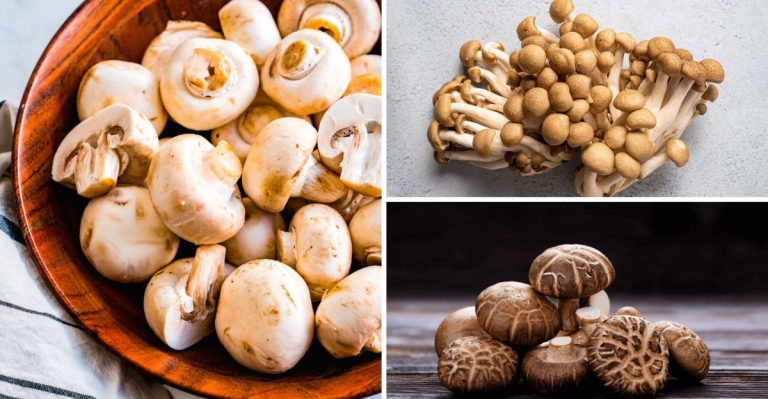 8 Beginner-Friendly Mushrooms for Home Cooks and 7 Only the Pros Should Touch