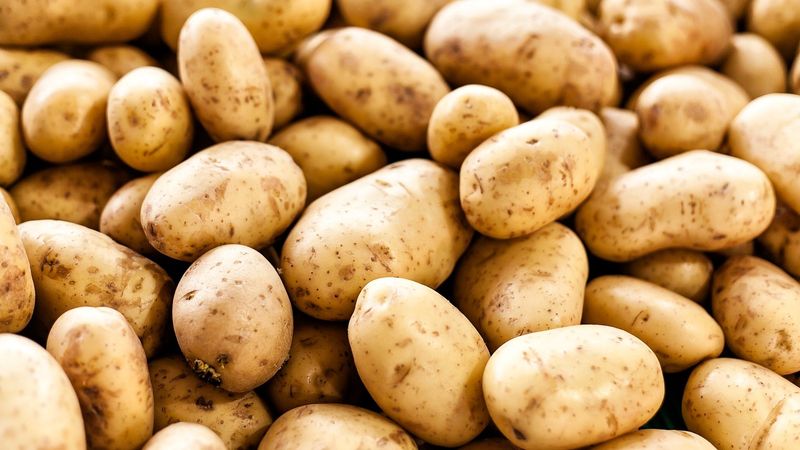 Potatoes: The Unfairly Maligned Tuber